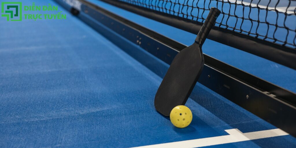 Mẫu Banner Vợt, Bóng Pickleball Vector