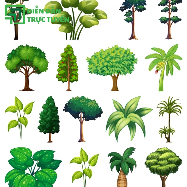 Mẫu Bộ Sưu Tập Đa Dạng Cây Vector