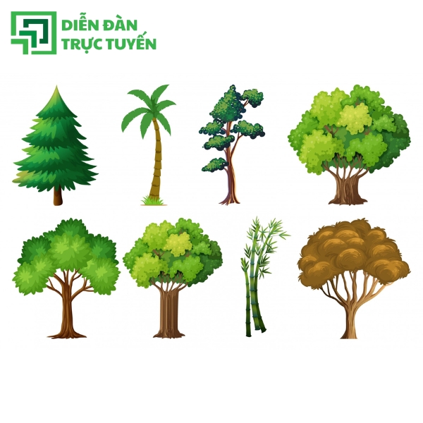 Mẫu Cây Xanh File EPS Đẹp