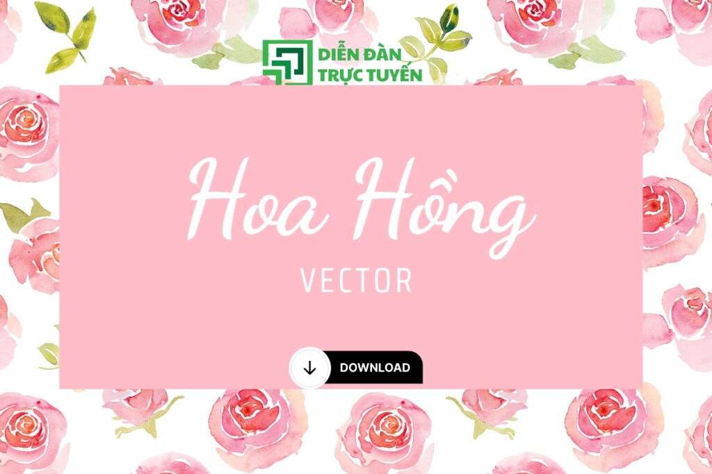 Hoa hồng vector