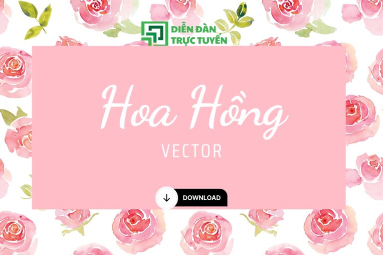 Hoa hồng vector