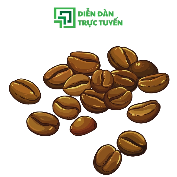 Mẫu Hạt Coffee Vector Truyền Thống