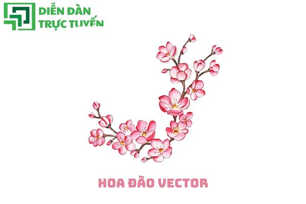 Hoa đào vector sắc nét, tệp chất lượng cao