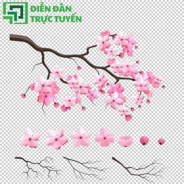 Hình vector hoa đào nét mềm mại