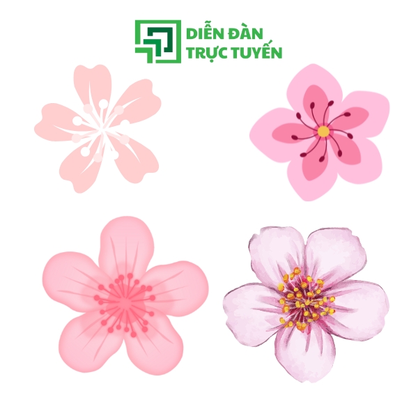 Mẫu Nhiều Kiểu Hoa Đào Vector