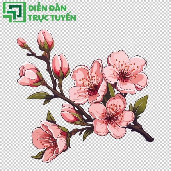 File vector hoa đào sẵn sàng cho Photoshop & AI