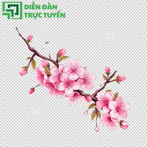 Vector hoa đào đẹp, dễ dàng chỉnh sửa theo ý muốn