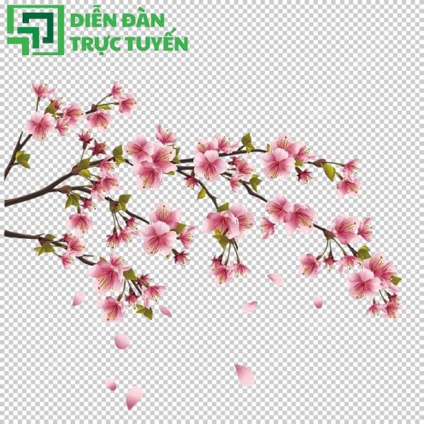 Vector hoa đào miễn phí, tải nhanh