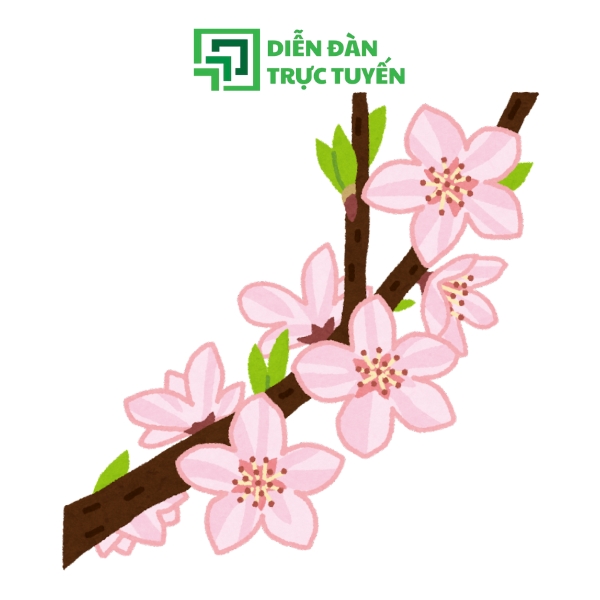 Mẫu Cành Hoa Đào Vector Vẽ Tay