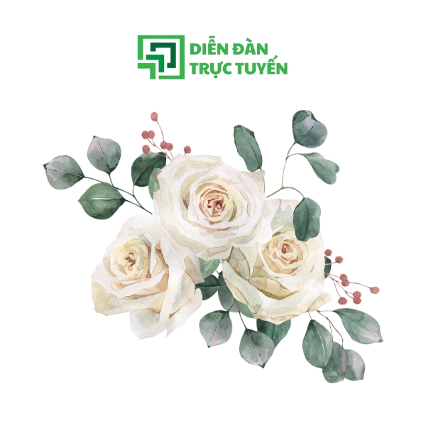 Mẫu Vector Hoa Hồng Trắng Tinh Tế