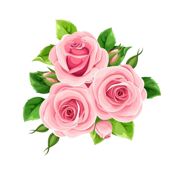 Mẫu Bó Hoa Hồng Vector Màu Hồng