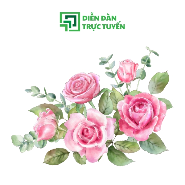 Mẫu Hoa Hồng Vector Xinh Xắn 