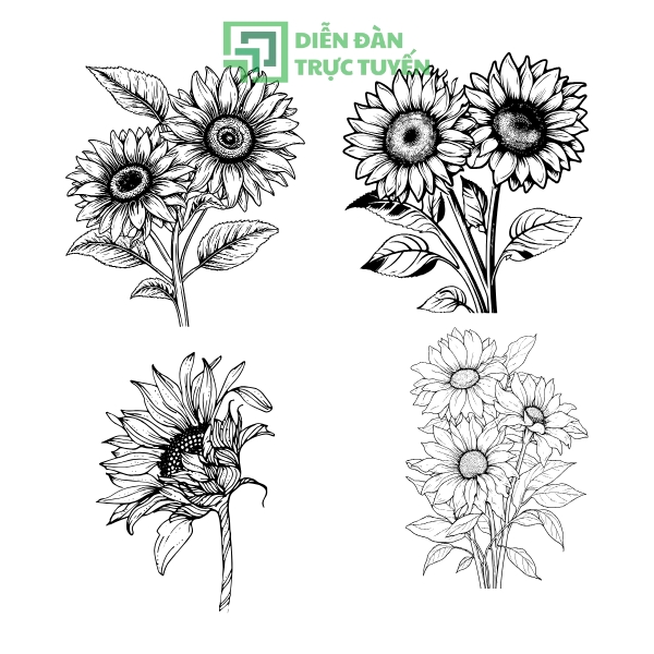 Mẫu Cây Hoa Hướng Dương Vector Trắng Đen