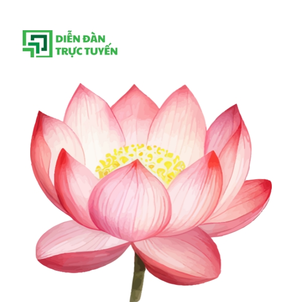 Mẫu Hoa Sen Vector Màu Sắc Nhẹ Nhàng