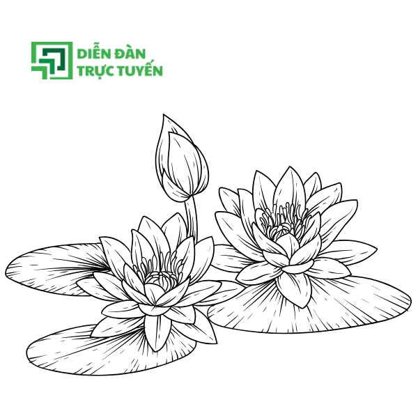 Mẫu Đầm Hoa Sen Vector Trắng Đen Đơn Giản
