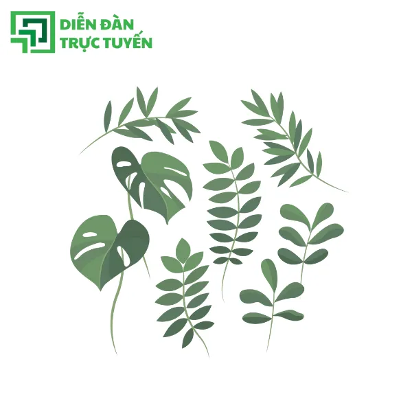 Lá vector thường dùng