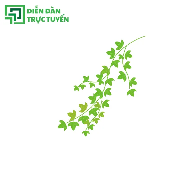 cành lá vector 