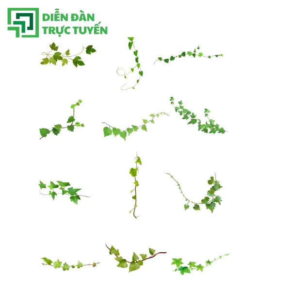 lá vector 1 cành