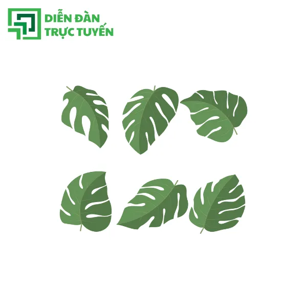 mẫu lá vector
