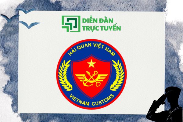 avatar logo hải quan