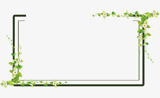 Khung Hoa Vector Tinh Tế – Phong Cách Cổ Điển