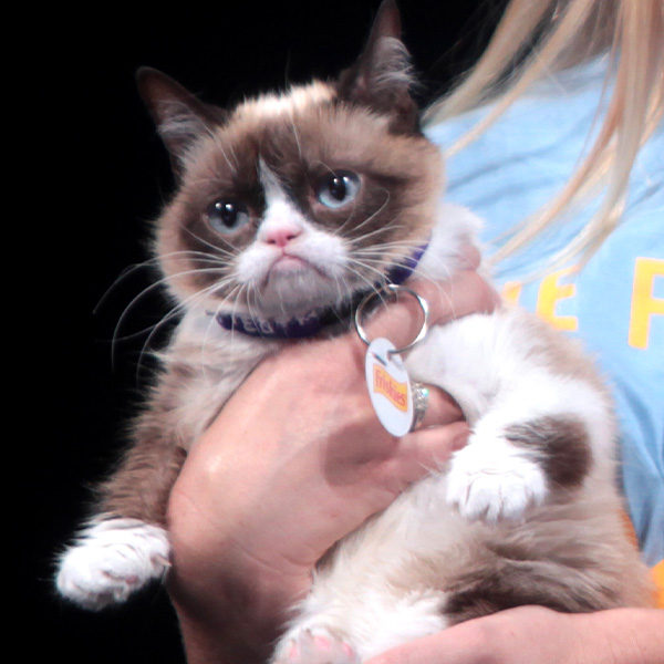 Meme Nổi Tiếng Nhất Trên Facebook