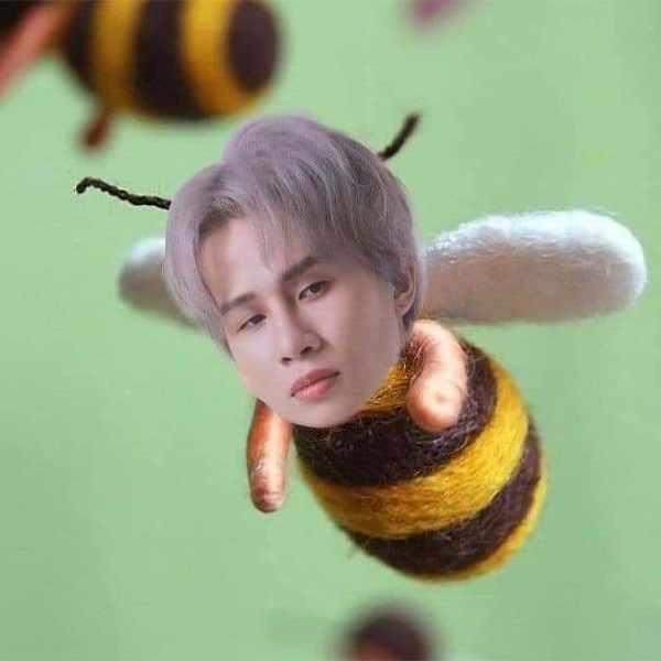 ảnh đom đóm vector chúa