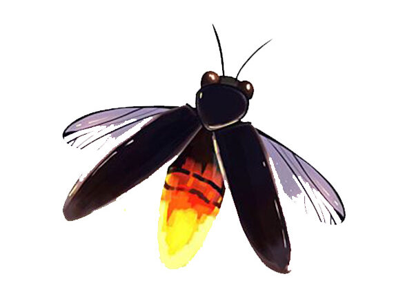 Mẫu Ảnh Đom Đóm Vector Ánh Sáng Huyền Ảo 