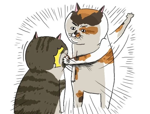 Meme Tát Kinh Điển – Khi Cơn Giận Bùng Nổ 