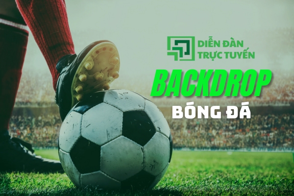 avatar backdrop bóng đá
