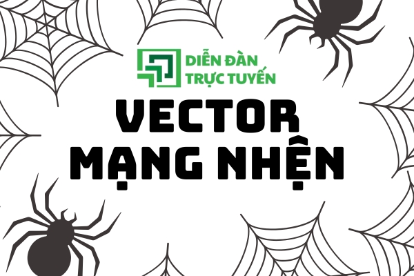 Mạng Nhện Vector Đẹp File AI, PNG, SVG 