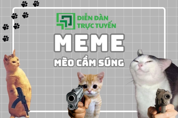 avatar meme mèo cầm súng
