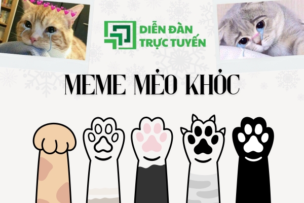 avatar meme mèo khóc