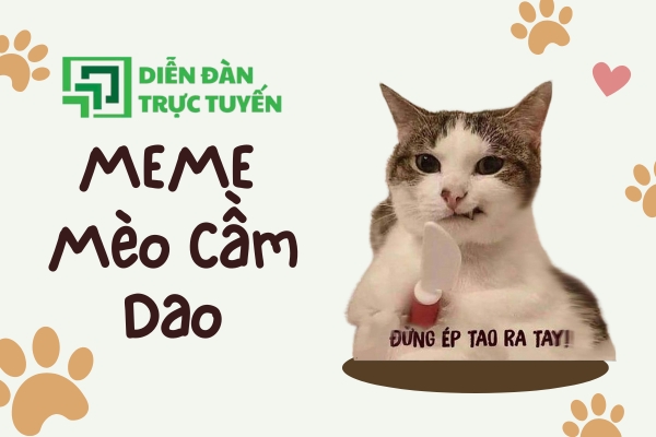 avatar mèo cầm dao đáng yêu