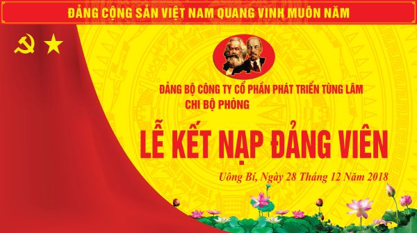 Backdrop Lễ Tốt Nghiệp Vector Trang Trọng