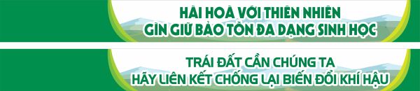 Mẫu Băng Rôn Chào Mừng Chiến Dịch Làm Sạch Đường Phố