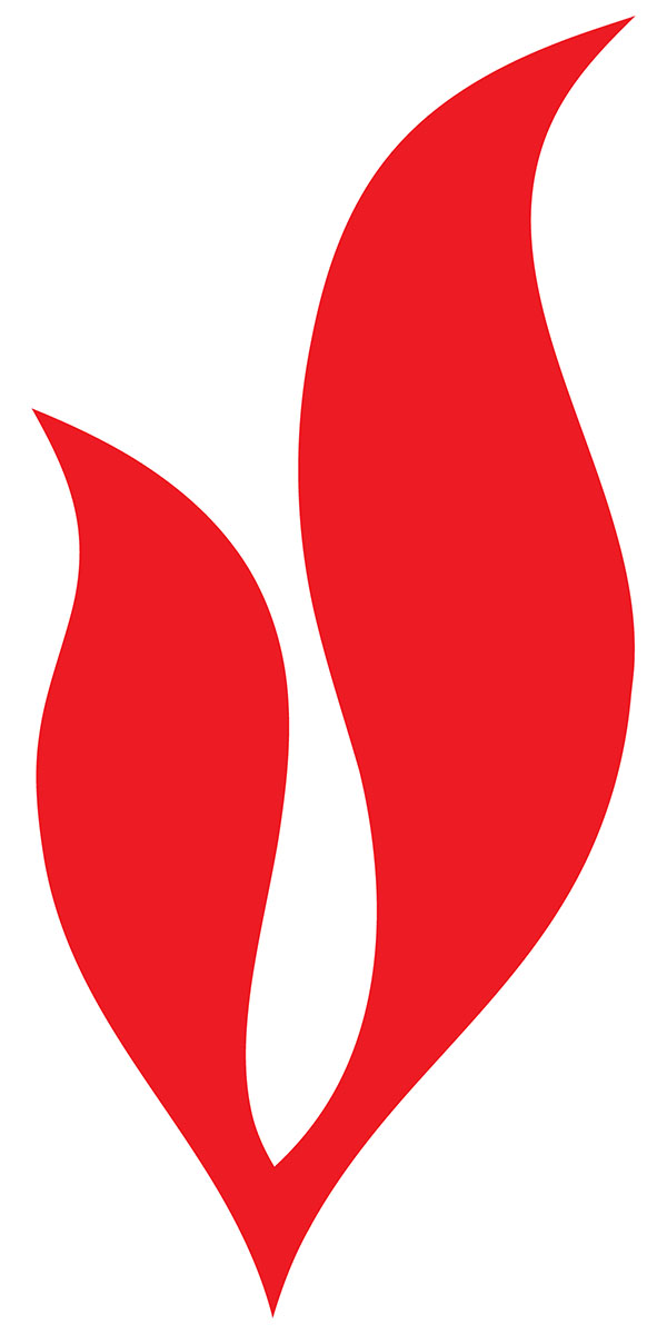 Logo PetroVietnam – Biểu Tượng Ngành Năng Lượng 