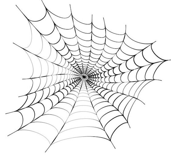 Mạng Nhện Vector Trang Trí Thiết Kế Sáng Tạo 