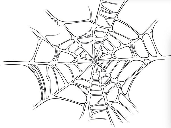 Mẫu Mạng Nhện Vector Đa Dạng Chủ Đề 