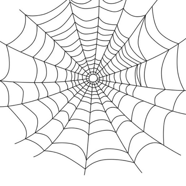 Bộ Sưu Tập Mạng Nhện Vector Đẹp Nhất 