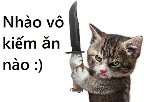 Meme Mèo Cầm Dao – Khi Boss Quyết Định Phản Kháng