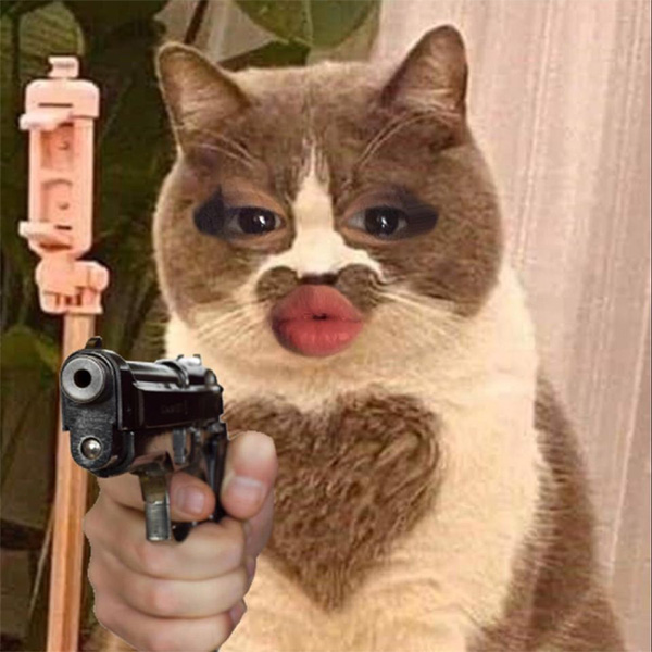 Meme Mèo Cầm Súng Đầy Quyền Lực – Ai Cũng Phải Cười