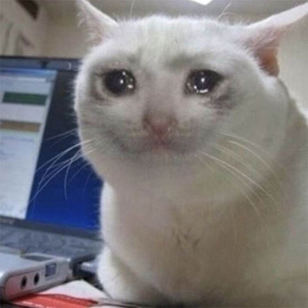 Meme Mèo Khóc Được Yêu Thích Nhất MXH 