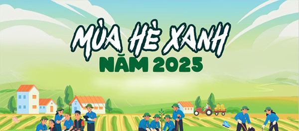 Logo Mùa Hè Xanh Vector Ảnh Nền