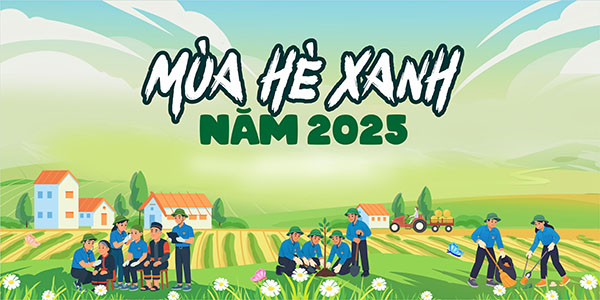 Phông Nền Vector Mùa Hè Xanh Sắc Nét HD