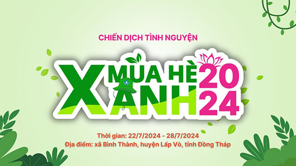 Mẫu Phông Nền Mùa Hè Xanh File Vector Chuẩn 