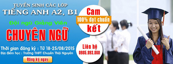 Mẫu Banner, Băng Rôn Tuyển Sinh Vector Chuyên Nghiệp