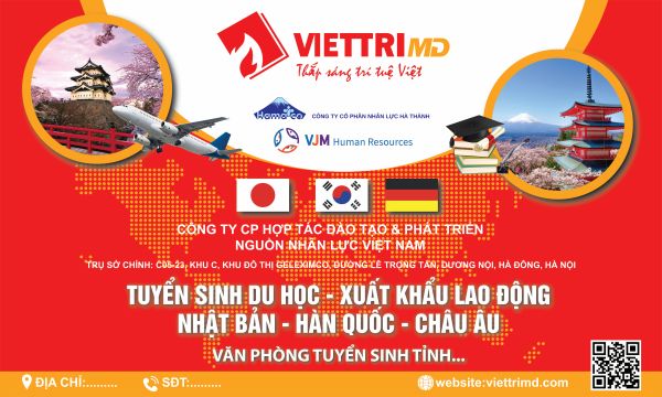 Vector Băng Rôn Tuyển Sinh Màu Sắc Bắt Mắt