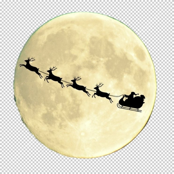 Vector tuần lộc đẹp