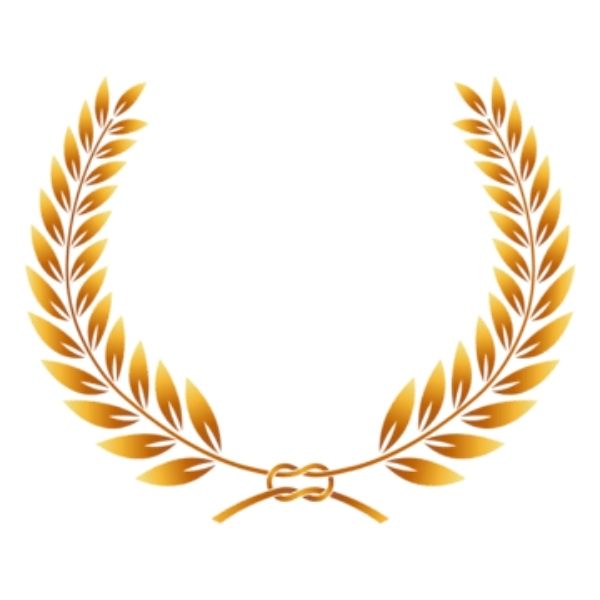 vong-nguyet-que-vector